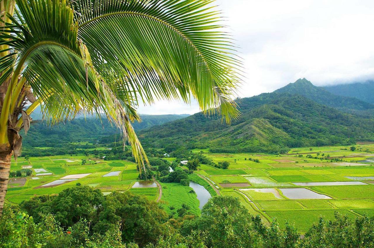 Waipouli Beach Resort Beautiful Luxury Ground Level Garden View Ac Pool! 卡帕阿 外观 照片